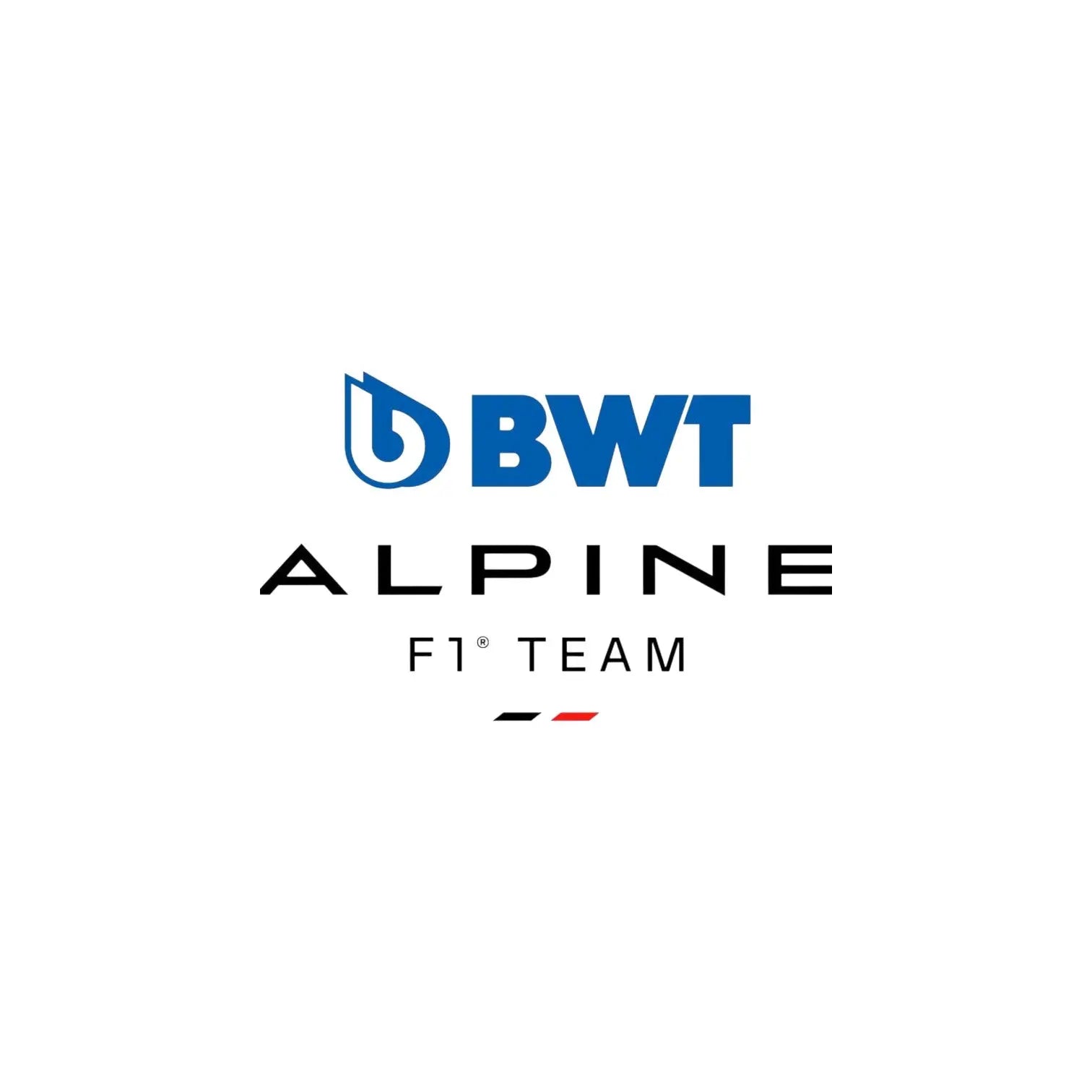 Alpine F1 Team