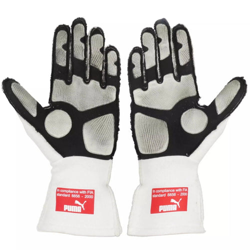 2010 Fernando Alonso F1 Race Gloves - Japanese GP - Ridex Racegear